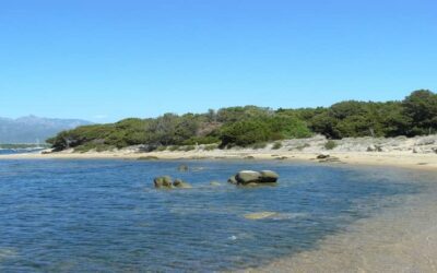 Plage de Figari
